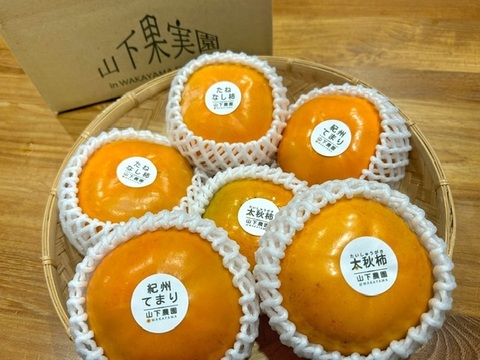 大満足！太秋柿・紀州てまり・たねなし柿 ３種食べ比べ【和歌山県産】