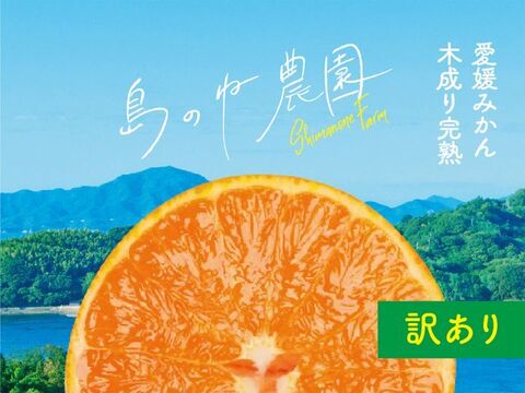 せとか 島のね農園【お得品/愛媛産せとか/木成り完熟/サイズ混合/3kg】