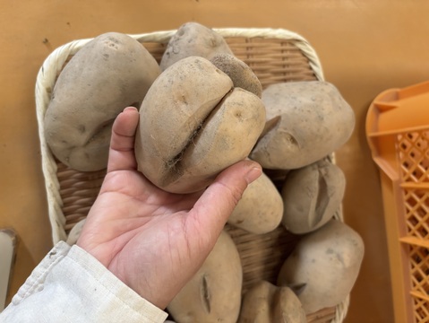 訳あり【自然栽培】皮ごと食べられるじゃがいも15kg