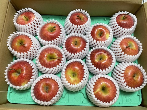 【幻の小玉第3弾】スリムレッド シャキッとジューシー 3キロ箱使用 10〜25玉程度　商品ID51599 長野県 信州 安曇野 リンゴ 幻 幻のリンゴ 予約 希少 旬