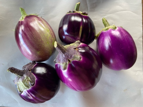 スーパーでは手に入らない野菜セット