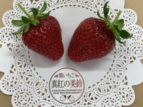 【とても稀少な黒いちご】「満天☆青空レストラン」で紹介された特選食材です！軽井沢高原プレミアムいちご（真紅の美鈴）・化学農薬を限界まで抑えたこだわりの当園独自農法★15粒または18粒入り【贈答用】