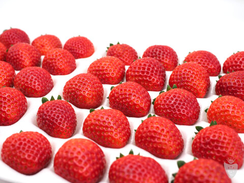 あま〜い♡がギュッとつまった新品種『とちあいか』3箱12パック(1箱で満足1,4kg以上)