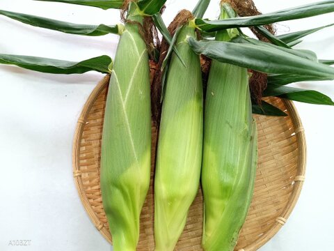 ⭐ドルチェドリーム⭐『５本入り』黄色い粒の甘さと白い粒のミルキーさが魅力的です。