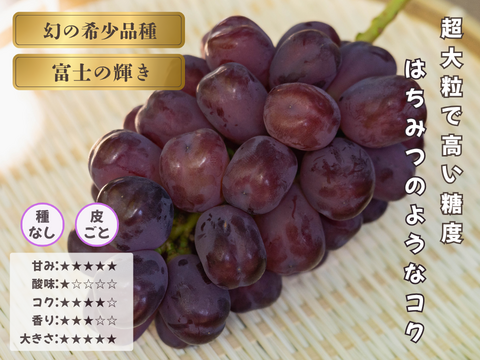お中元 お盆 シーズンにお届け可能 幻の希少品種 富士の輝 き 2房～3房 1.5キロ以上お入れ致します