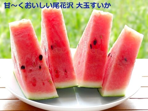 【予約受付】甘～い尾花沢大玉夏すいか(羅王ザ・スウィート) 4Lx1玉  9~10kg 山形県産【夏ギフト】