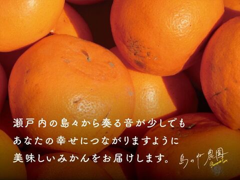 せとか 島のね農園【愛媛せとか/木成り完熟/5kg】