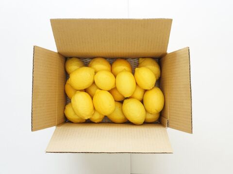 【広島県産】皮まで安心！大玉レモン！(4kg)