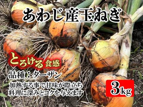 有機肥料栽培　あわじ産 品種：ターザン M-Lサイズ 中玉 大玉サイズおまかせ3kg　加熱すると甘みが増し、煮込み料理や炒め物に最適。貯蔵性にも優れており、幅広い料理で活躍。ひょうご安心ブランド認定