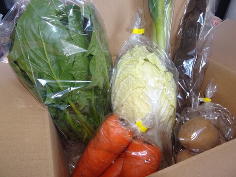 旬の野菜セット約5～6種類（農薬化学肥料不使用）