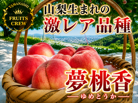 【山梨生まれ激レア品種】夢桃香🍑本場山梨の品種指定キャンペーン🍑カリッと締まった果肉×豊かな甘み✨お試し約1㎏🍑6月下旬～発送🍑