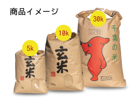 【R5年産】コシヒカリ 5kg（玄米）