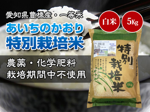 【栽培期間中農薬不使用・一等米】あいちのかおり 白米5kg【令和2年・愛知県産】