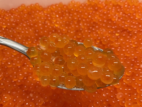 【謹製】いくら西京漬/1人前小分け冷凍/150g/無添加/国産原料/【完全非加熱】【冷凍】