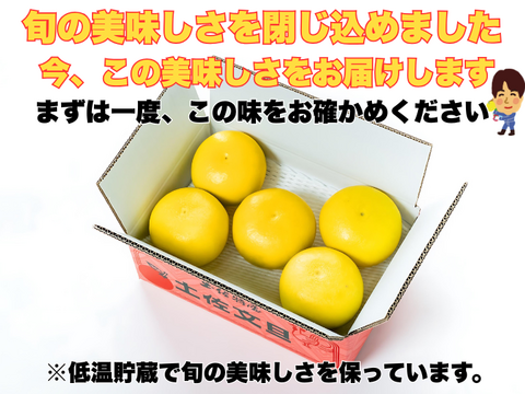 【完熟の証】低温貯蔵 土佐文旦 訳あり大玉3kg｜風味が際立つ食べ頃・日本ギフト大賞受賞・文旦発祥の地 ・高知県土佐市産 ・やの一果彩