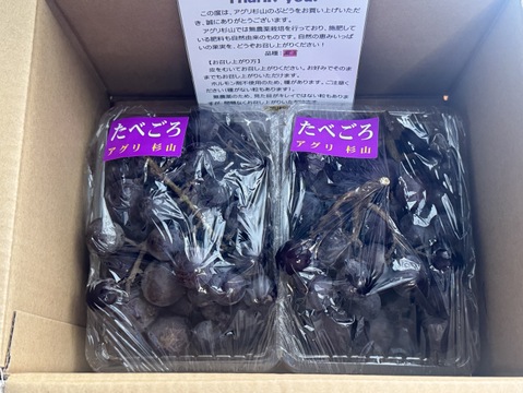 農薬不使用！甘さとコクのぶどう「紫玉」1kg：静岡県産の紫玉｜食べ