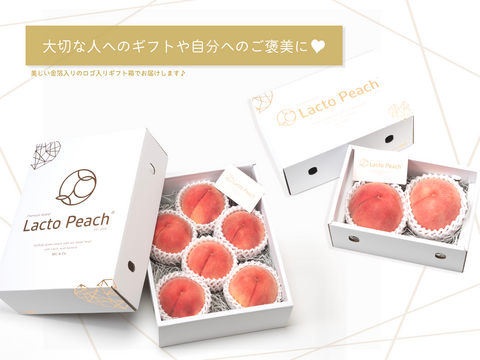 【7月発送！限定30箱】乳酸菌で大切に育てた特別な桃《プレミアムブランド》ラクトピーチ 2kg 【ギフト】【贈答用】【夏ギフト】化粧箱でお届け！農園から直送