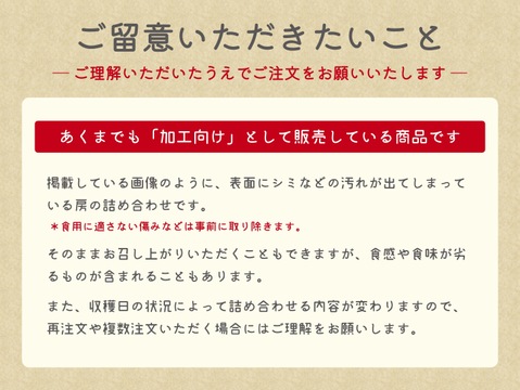 ［訳あり＆加工向け］行き先を失ってしまうシャインマスカット 〜2024年・かすり症〜