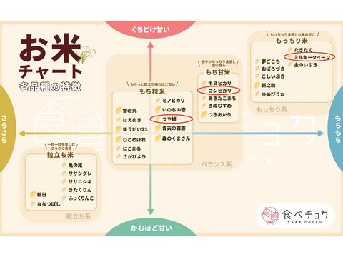 【限定100セット】新米リレー定期便2025🌾厳選された5kgのお米を3ヶ月間お届け（食べチョク公式）