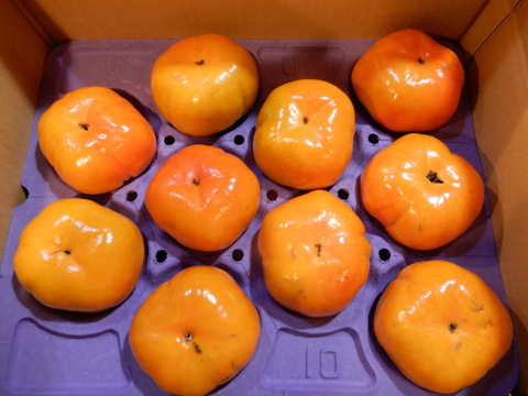 早生（わせ）柿の代表「早秋」１０個から１２個入り３.０㎏以上