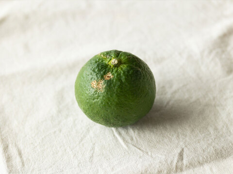 家庭用（訳あり品）ジャバラ5kg 和歌山 355-3