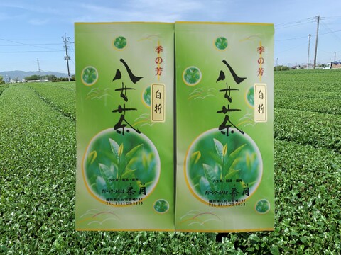 【ネコポス便】(国産)緑茶 八女茶 白折100g【2袋】