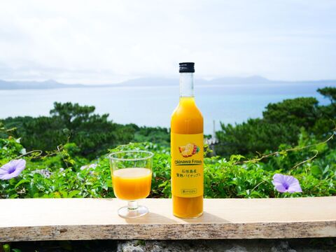 贅熟 石垣島産パインアップルジュース(100%) 　500ml