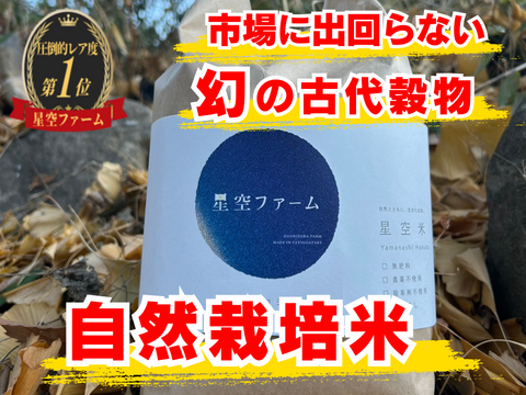 【市場にほぼ出回らない】家族子どもの健康を守る毎日の保険☆奇跡の自然栽培ブランド米🍙【農薬不使用】【化学肥料不使用】【除草剤不使用】2026年新米約10㎏🌾【5袋限定】【11月下旬予約】