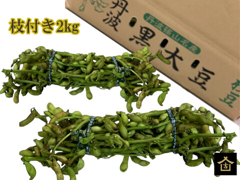 数量限定】丹波篠山 黒枝豆 枝付き2㎏ 丹波篠山産 丹波 枝豆