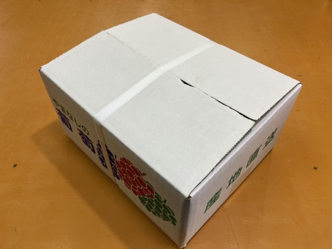 食べチョク登録記念
2025年限定山梨県産ゴールドシャインマスカット入りシャインマスカット約1.1kg~1.2kg　【ご家庭用訳あり】最終になります。美味しい食べ方や保存の仕方を同封します!