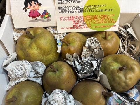 まるせい果樹園のラ･フランス　訳あり　2kg箱　玉数指定不可　nr2