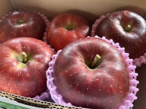 パリッと甘い！山形県産秋映【お試し大玉1.5キロ】