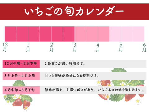 茨城いちごグランプリ3年連続受賞  品種指定無し いちご（苺・イチゴ）【3L×2パック】