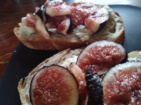 秋の希少いちじくお楽しみセット【農薬・除草剤・化学肥料不使用】和歌山県産