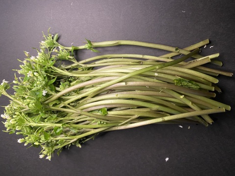 ◎わさびの花芽1kg
◎時期物、期間限定