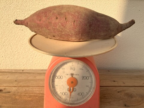 自然栽培〈特大べにはるか〉大分県産さつまいも 10kg：大分県産