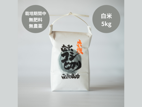 【予約商品】【令和7年産】潮風香る田んぼでトキと育った新潟県佐渡産 自然栽培『在来コシヒカリ』 白米5kg