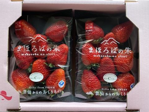 朝摘みいちご🍓まほろばの朱(あかり) 極上品おいCベリー300g×2パック【数量限定】
