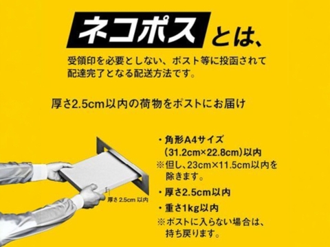 【翌日着可能地域限定】さやインゲン 400g  ネコポス発送(送料全国一律)