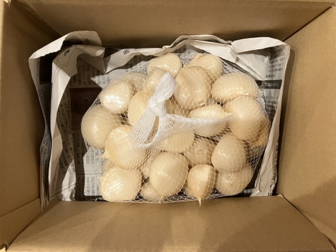 【採れたてフレッシュ】農薬不使用ジャンボニンニク 外皮剥き済み バラ1kg