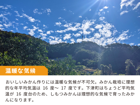 とれたてしもつみかん5kg｜和歌山県海南市下津町から産地直送でお届け