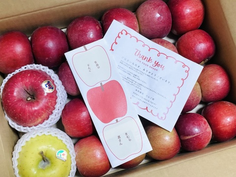 お待たせしました！🍎すっぱい紅玉🍎おうちりんご🍎酸味が美味しいりんご！！家庭用３キロ