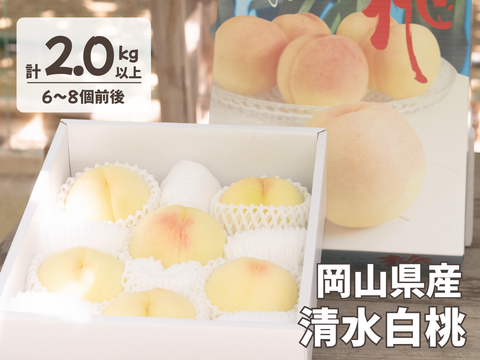 白桃 といえば 清水白桃 しっかり追熟して本来の美味しさを味わっていただきたい 岡山県産清水白桃 6～9個入り 2.0キロ以上