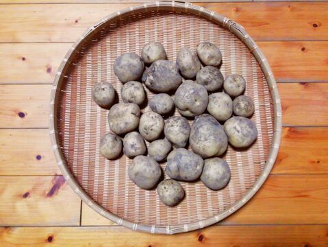 【訳あり】ジャガイモ(ダンシャク)2.5～３㎏程度【農薬化学肥料不使用】【合わせ買い可】【熨斗(のし)対応可】