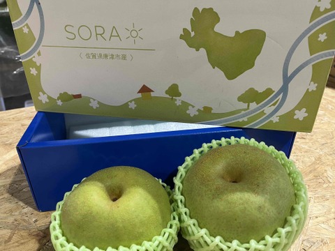 【SORA】二代目川添果樹園の香りがいいおいしい梨　かおり梨2玉