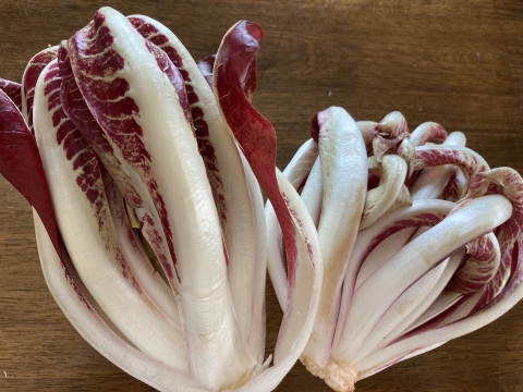 【予約販売】希少性の野菜　タルティーボ　４個セット　（150ｇ×４）