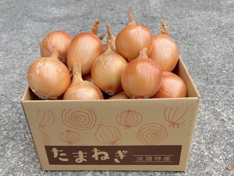 《お買い得》【淡路島産】お子様にも人気のひと口サイズ 完熟玉ねぎ 3kg