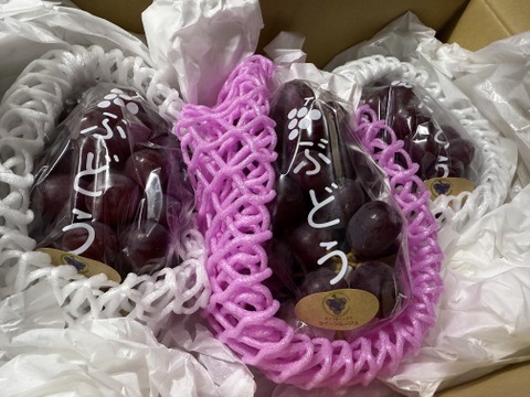 ◯完売御礼◯【家庭用】クイーンルージュ　1.0kg/2~3房