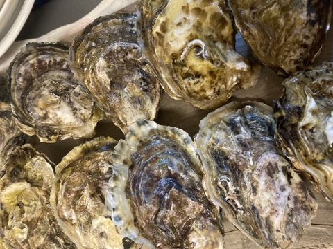 甘みと濃厚さ抜群の極上牡蠣！【OMAKI】10個入り