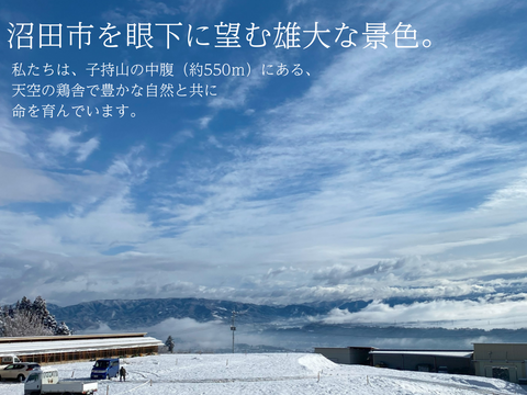 【平飼い 有精卵】自然養鶏「子持生命卵 kinari」10個入パック×２